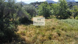 Οικόπεδο 3.600 τ.μ. για πώληση, Ν. Κέρκυρας, Κέρκυρα-thumb-13