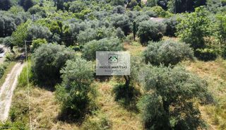 Οικόπεδο 3.600 τ.μ. για πώληση, Ν. Κέρκυρας, Κέρκυρα-thumb-4