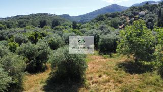 Οικόπεδο 3.600 τ.μ. για πώληση, Ν. Κέρκυρας, Κέρκυρα-thumb-14