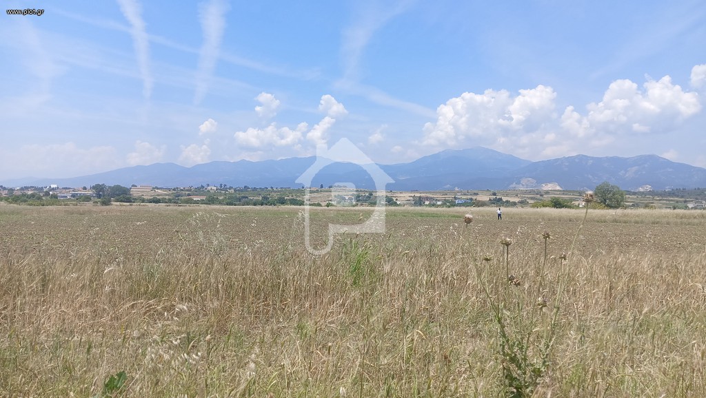 Γη 24.400 τ.μ. προς πώληση, Κηκίδι
