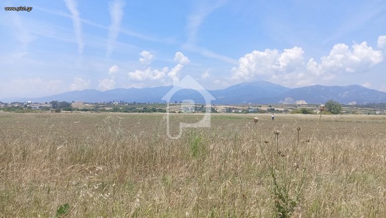 Αγροτεμάχια 26.500 τ.μ. για πώληση, Ν. Ροδόπης, Κομοτηνή