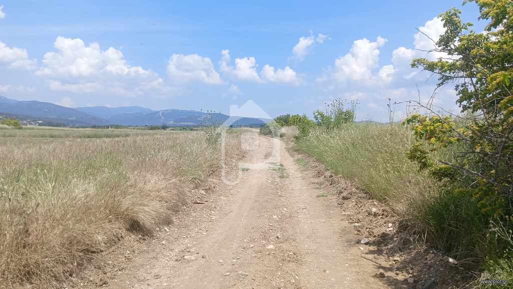 Γη 24.400 τ.μ. προς πώληση, Κηκίδι