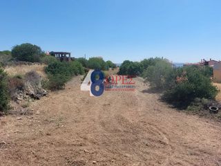 Οικόπεδο 1.129 τ.μ. για πώληση
