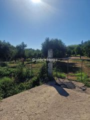 Οικόπεδο 3.500 τ.μ. για πώληση