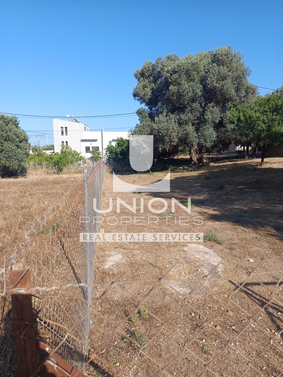 Οικόπεδο 503,82 τ.μ. πρός πώληση, Αττική - Υπόλοιπο, Μαρκόπουλο