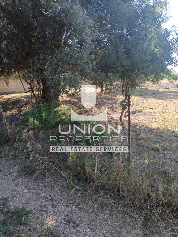 Οικόπεδο 503,82 τ.μ. πρός πώληση, Αττική - Υπόλοιπο, Μαρκόπουλο