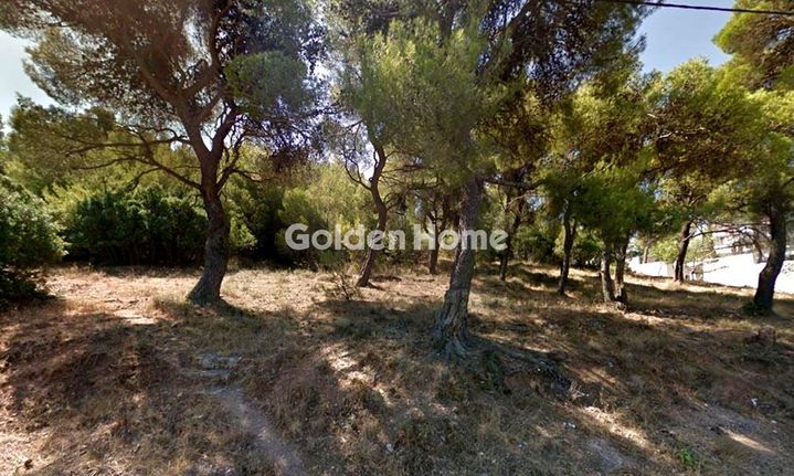 Land plot 3.098 sqm for sale, Athens - North, Kifisia