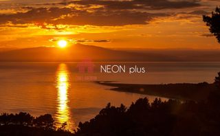 Αγροτεμάχια 16.895 τ.μ. για πώληση