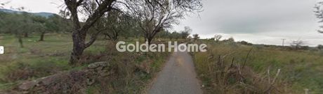 Αγροτεμάχια 30.000 τ.μ. για πώληση