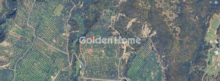 Parcel 2.500 sqm for sale, Aetolia & Acarnania, Iera Poli Messologiou
