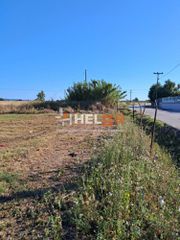 Οικόπεδο 2.600 τ.μ. για πώληση, Αχαΐα, Ωλένια-thumb-6