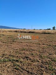 Οικόπεδο 2.600 τ.μ. για πώληση, Αχαΐα, Ωλένια-thumb-30