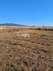 Οικόπεδο 2.600 τ.μ. για πώληση, Αχαΐα, Ωλένια-thumb-20