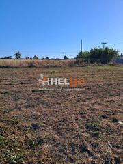 Οικόπεδο 2.600 τ.μ. για πώληση, Αχαΐα, Ωλένια-thumb-31