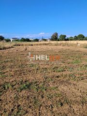 Οικόπεδο 2.600 τ.μ. για πώληση, Αχαΐα, Ωλένια-thumb-14