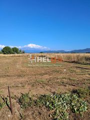 Οικόπεδο 2.600 τ.μ. για πώληση, Αχαΐα, Ωλένια-thumb-4
