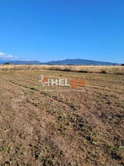 Οικόπεδο 2.600 τ.μ. για πώληση, Αχαΐα, Ωλένια-thumb-8