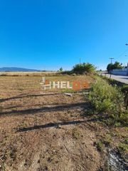 Οικόπεδο 2.600 τ.μ. για πώληση, Αχαΐα, Ωλένια-thumb-45