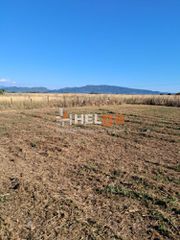 Οικόπεδο 2.600 τ.μ. για πώληση, Αχαΐα, Ωλένια-thumb-29