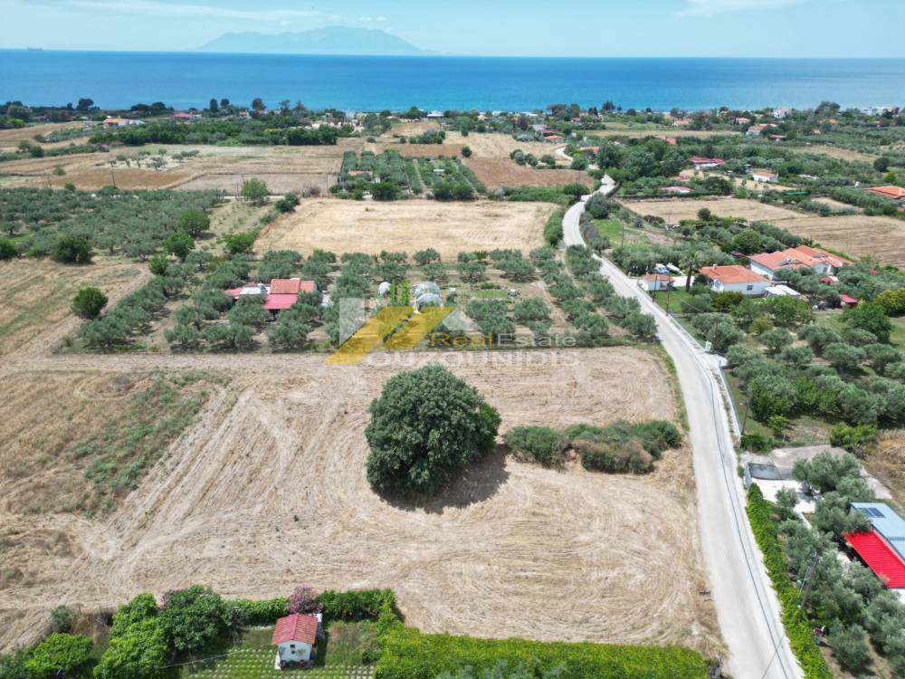 Αγροτεμάχια 9.800 τ.μ. πρός πώληση, Εβρος, Αλεξανδρούπολη