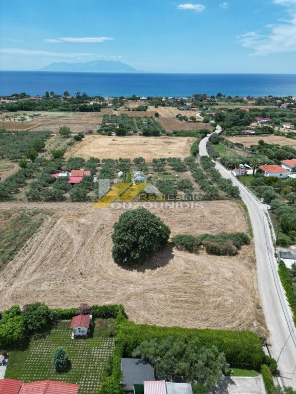 Αγροτεμάχια 9.800 τ.μ. πρός πώληση, Εβρος, Αλεξανδρούπολη