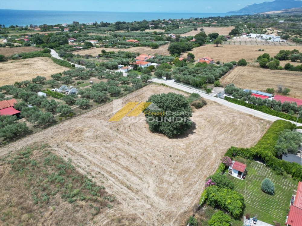 Αγροτεμάχια 9.800 τ.μ. πρός πώληση, Εβρος, Αλεξανδρούπολη