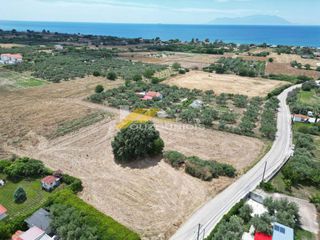 Αγροτεμάχια 9.800 τ.μ. για πώληση
