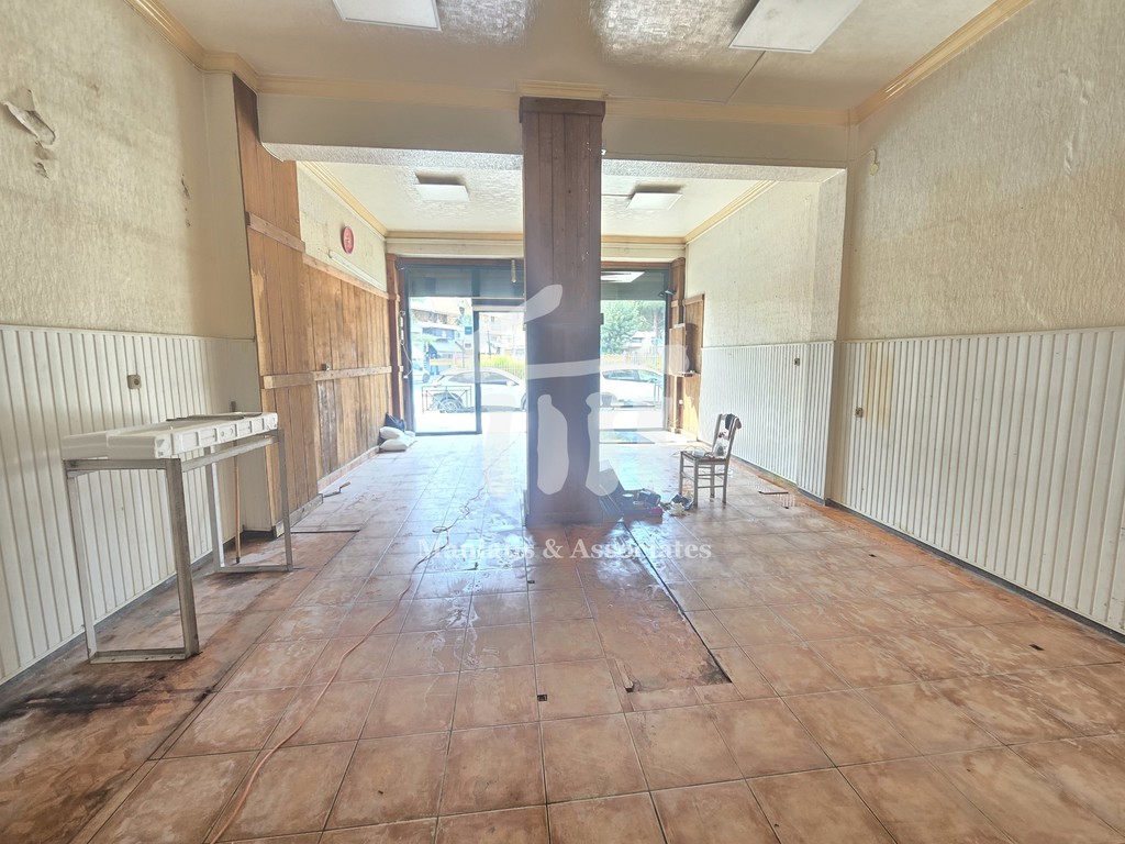 Κατάστημα 110 τ.μ. προς ενοικίαση, Καμίνια