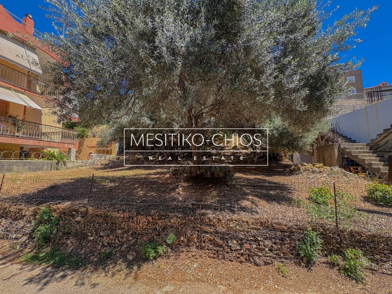 Οικόπεδο 221,61 τ.μ. προς πώληση, Πόλη Χίου