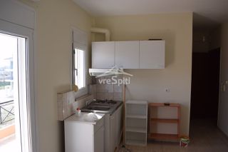 Studio / γκαρσονιέρα 30 τ.μ. για ενοικίαση, Ν. Ιωαννίνων, Ιωάννινα-thumb-31