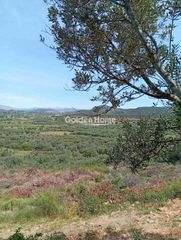 Οικόπεδο 7.000 τ.μ. για πώληση, Αργολίδα, Ναύπλιο-thumb-1