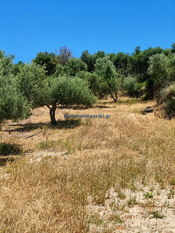 Οικόπεδο 900 τ.μ. προς πώληση, Κίσσαμος
