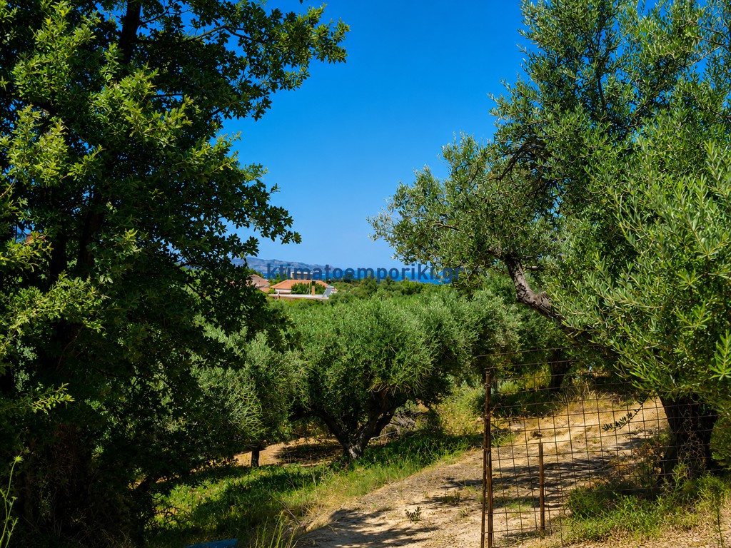 Οικόπεδο 900 τ.μ. προς πώληση, Κίσσαμος