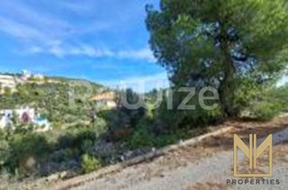 Αγροτεμάχια 1.029 τ.μ. για πώληση