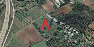 Αγροτεμάχια 9.675 τ.μ. για πώληση