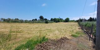Αγροτεμάχια 9.675 τ.μ. για πώληση, Ν. Λάρισας, Κάτω Όλυμπος-thumb-2