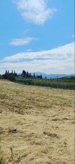 Αγροτεμάχια 9.675 τ.μ. για πώληση, Ν. Λάρισας, Κάτω Όλυμπος-thumb-5
