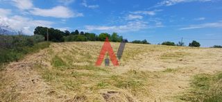 Αγροτεμάχια 8.602 τ.μ. για πώληση, Ν. Λάρισας, Κάτω Όλυμπος-thumb-3