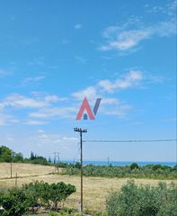 Αγροτεμάχια 8.602 τ.μ. για πώληση, Ν. Λάρισας, Κάτω Όλυμπος-thumb-4