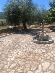 Οικόπεδο 2.500 τ.μ. για πώληση, Θεσπρωτία, Πέρδικα-thumb-1