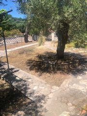 Οικόπεδο 2.500 τ.μ. για πώληση, Θεσπρωτία, Πέρδικα-thumb-6