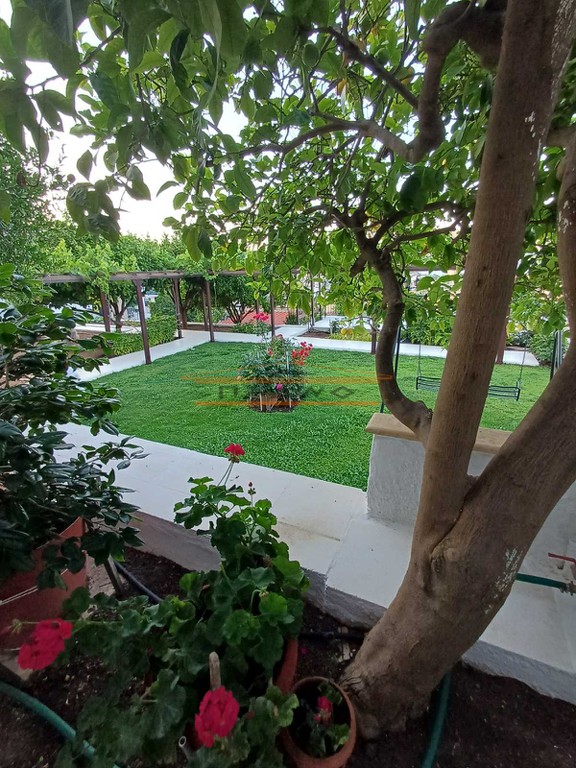 Οικόπεδο 541 τ.μ. προς πώληση, Πόρτο Ράφτη