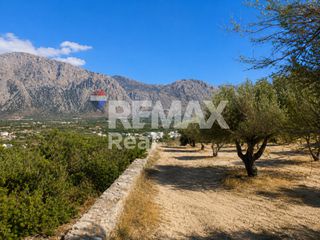 Βίλλα 700 τ.μ. προς πώληση, Παχεία Άμμος-thumb-15