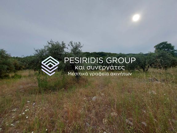 Αγροτεμάχια 1.700 τ.μ. για πώληση, Χαλκιδική, Παναγιά