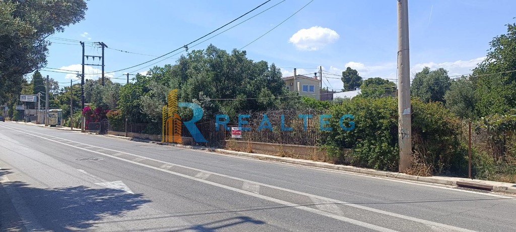 Οικόπεδο 1.000 τ.μ. πρός πώληση, Αθήνα - Ανατολικά Προάστια, Αρτέμιδα (λούτσα)