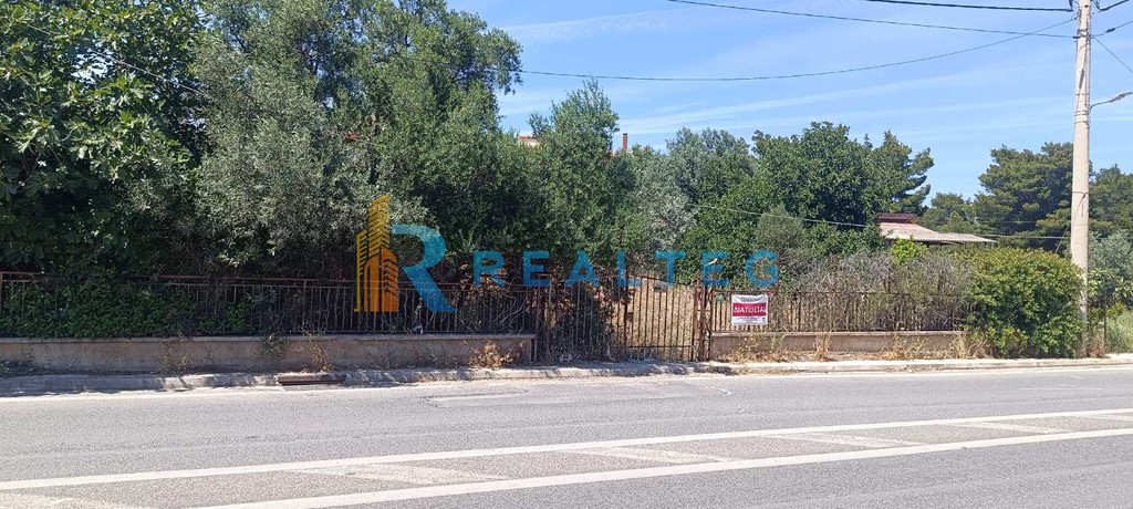 Οικόπεδο 1.000 τ.μ. πρός πώληση, Αθήνα - Ανατολικά Προάστια, Αρτέμιδα (λούτσα)