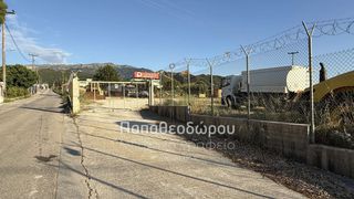 Οικόπεδο 4.620 τ.μ. πρός ενοικίαση, Αχαΐα, Ρίο-thumb-5