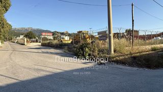 Οικόπεδο 4.620 τ.μ. πρός ενοικίαση, Αχαΐα, Ρίο-thumb-7