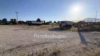 Οικόπεδο 4.620 τ.μ. πρός ενοικίαση, Αχαΐα, Ρίο-thumb-3