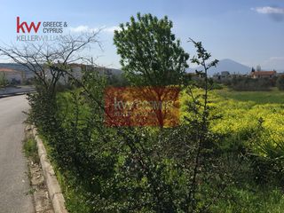 Οικόπεδο 6.300 τ.μ. για πώληση, Εύβοια, Χαλκίδα-thumb-6
